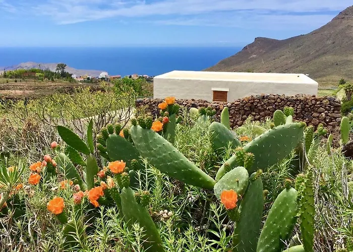 Spacious House In With Terrace And Garden Arona (Tenerife)